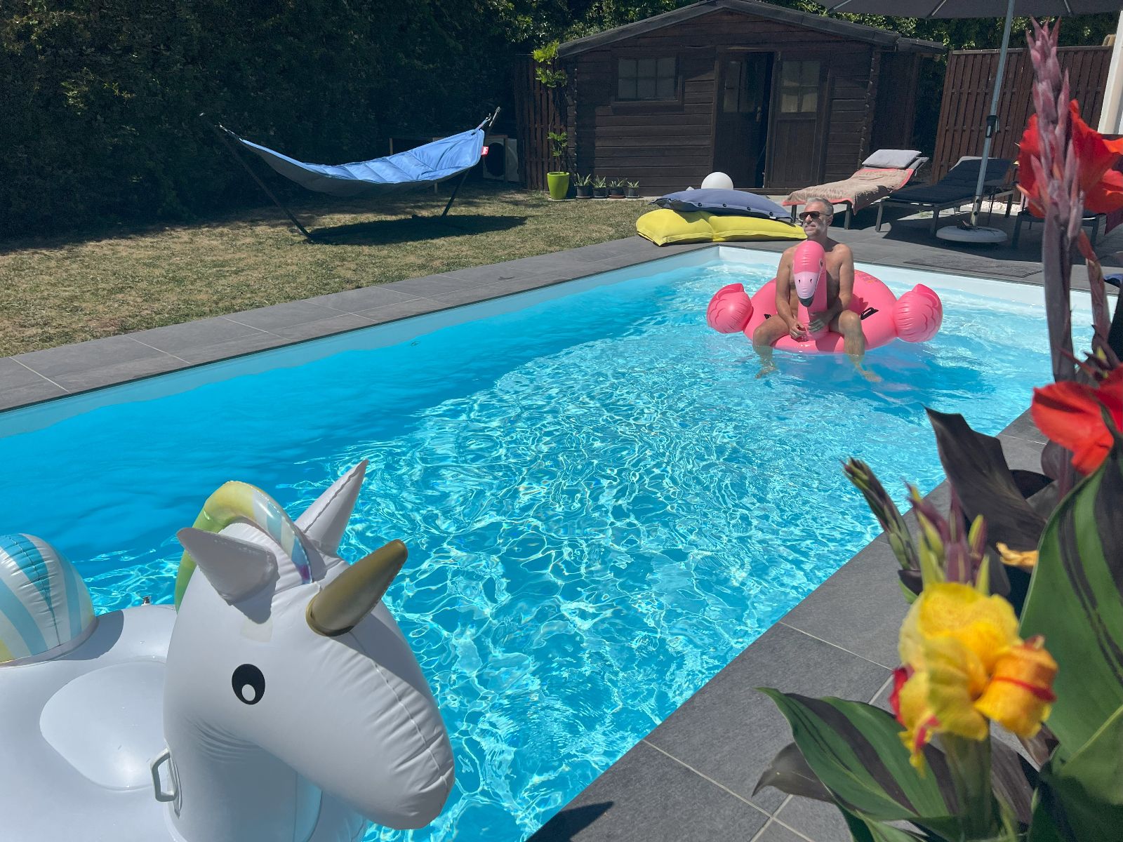 La piscine / the pool La piscine / the pool