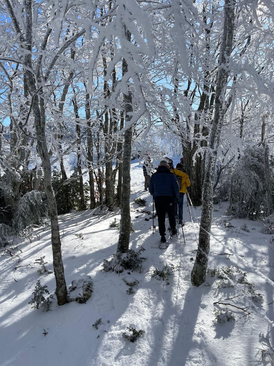 Randonnes niveau facile ou sortie raquettes selon enneigement