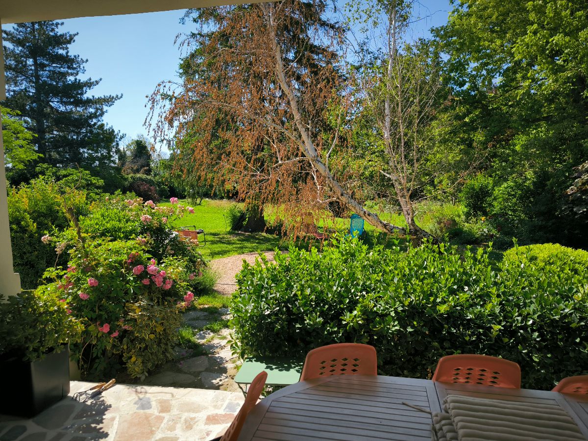 Jardin depuis terrasse RDC