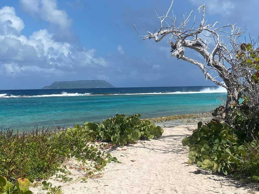 Les salines et l ile de la Desiradebac 