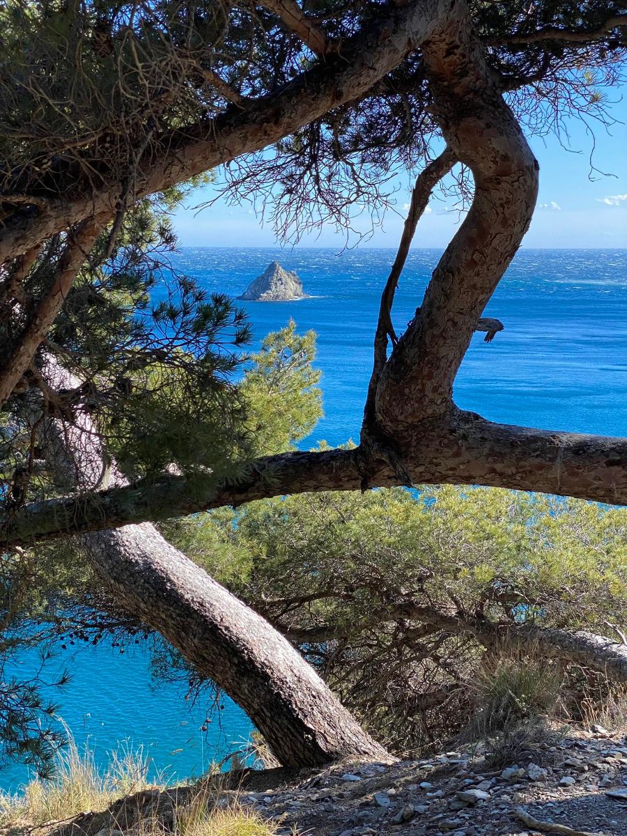 Le cap SIcié Le cap SIcié