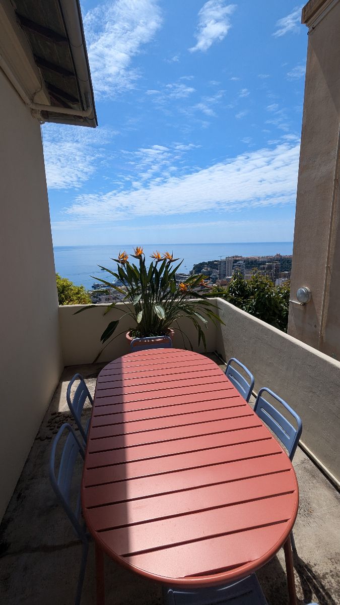 Terrasse sud Terrasse sud