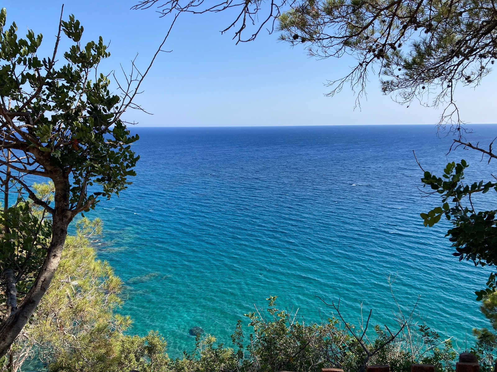 Blue lagoon Blue lagoon