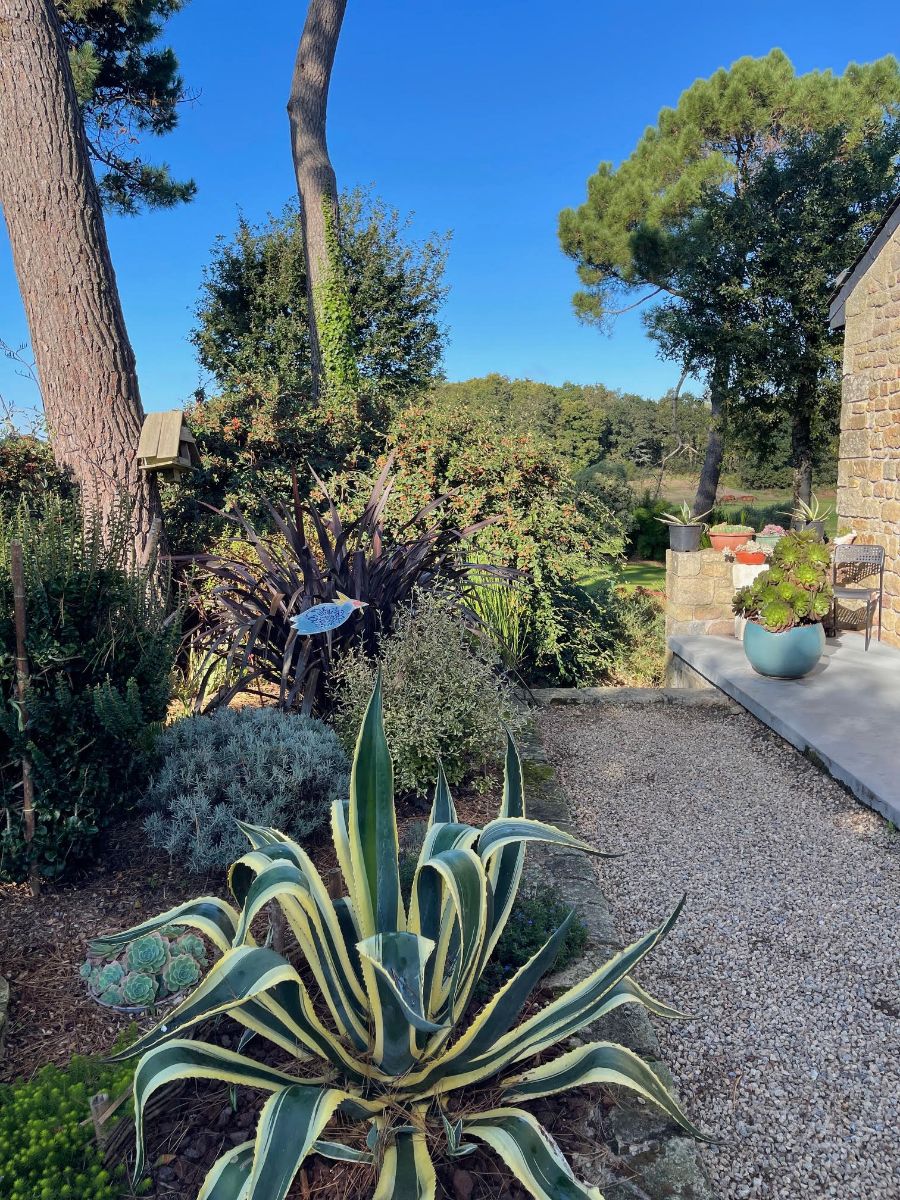 Terrasse de l'entre oriente sud