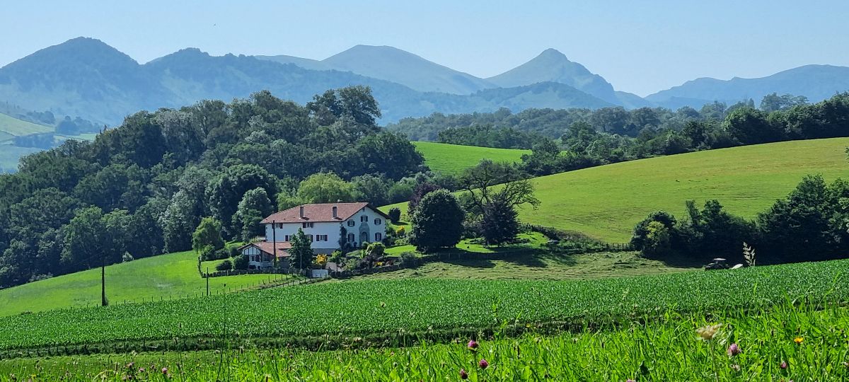 LA MAISON ET LE GITE SORHABURIA 