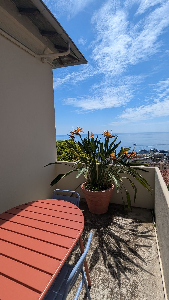 Terrasse sud Terrasse sud