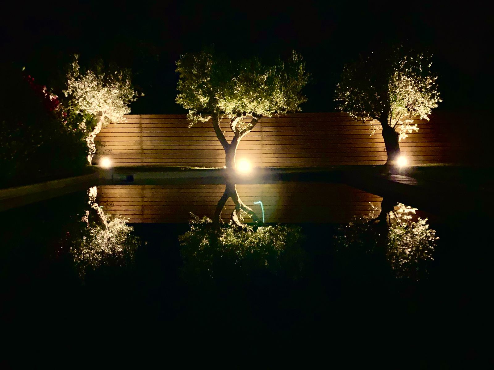 Oliviers piscine gite du clos des aspres Oliviers piscine gite du clos des aspres