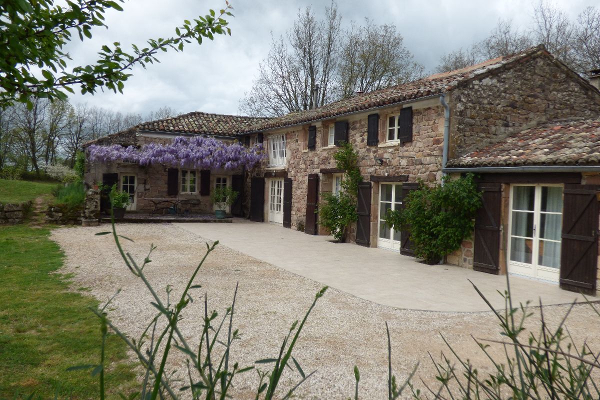 La terrasse et la glycine 