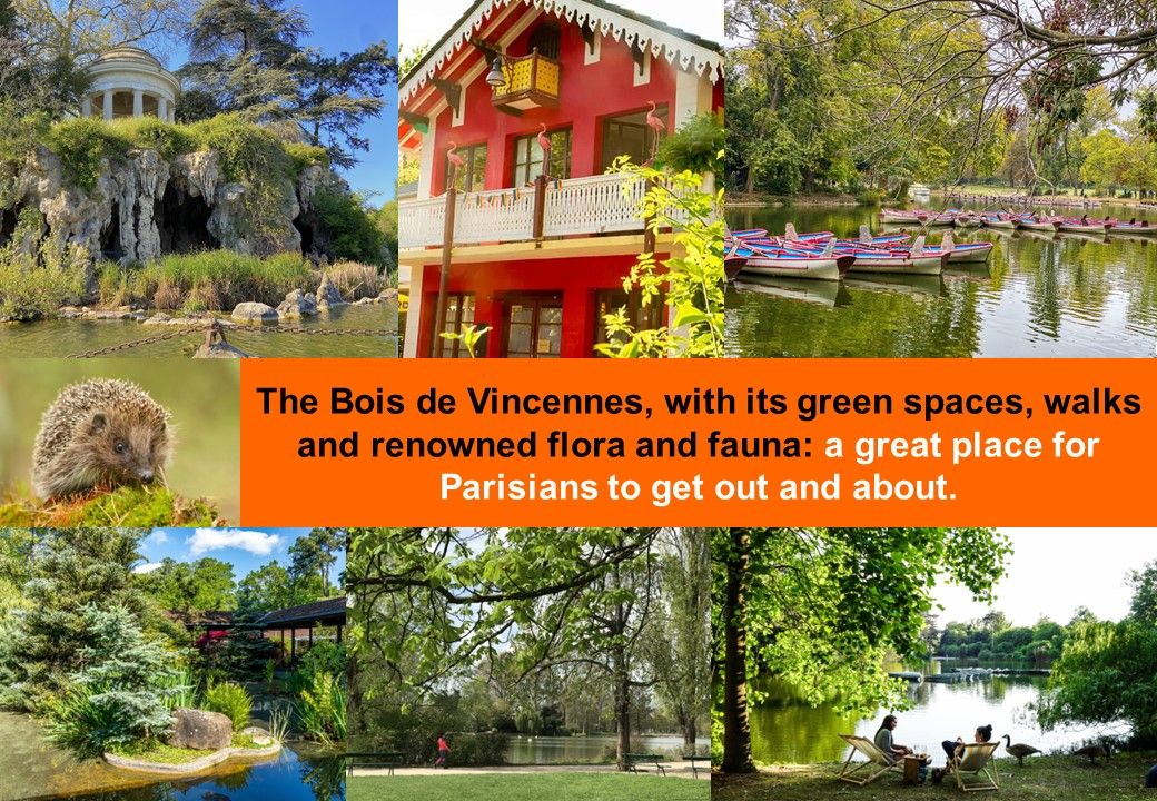 Bois de Vincennes et ses nombreuses activites