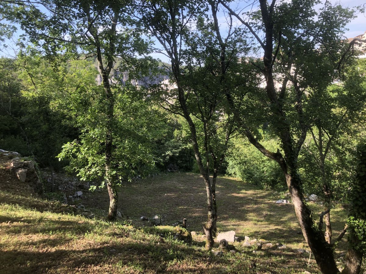 Un jardin de chênes et des terrasses que l'on appelle ''faïsses'' ici en Ardèche du Sud Un jardin de chênes et des terrasses que l'on appelle ''faïsses'' ici en Ardèche du Sud