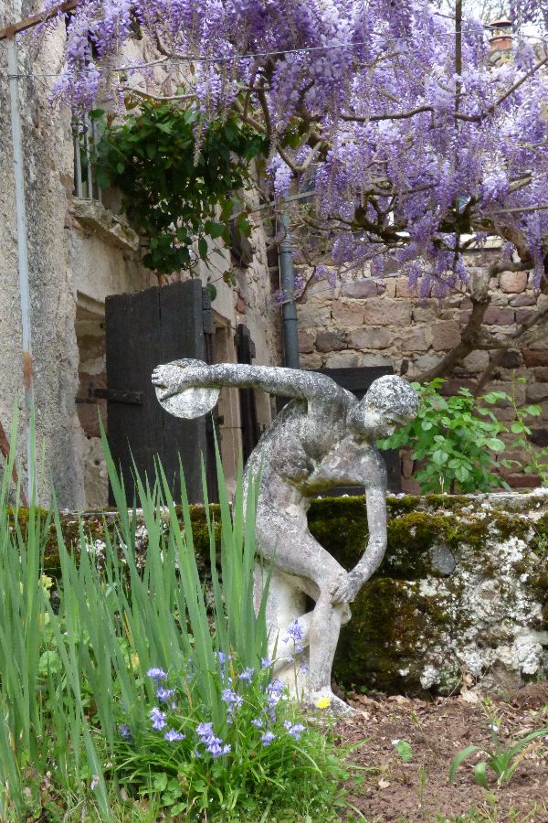 Le Grec sous la glycine 