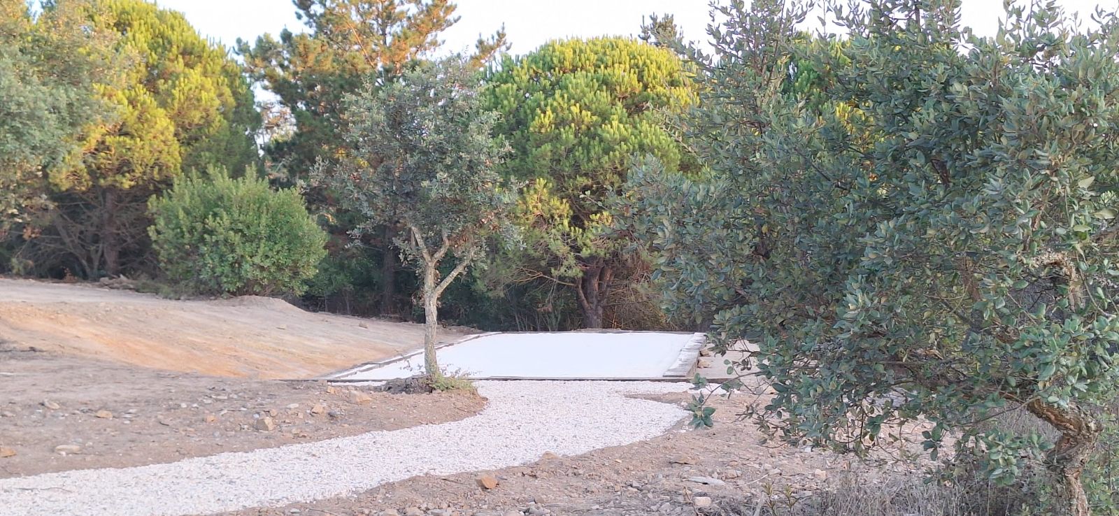 Petanque