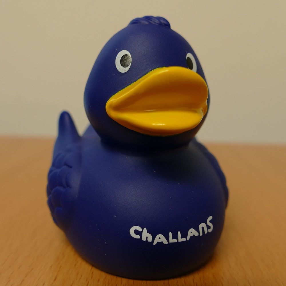 Célestin, la mascotte de la ville de Challans Célestin, la mascotte de la ville de Challans