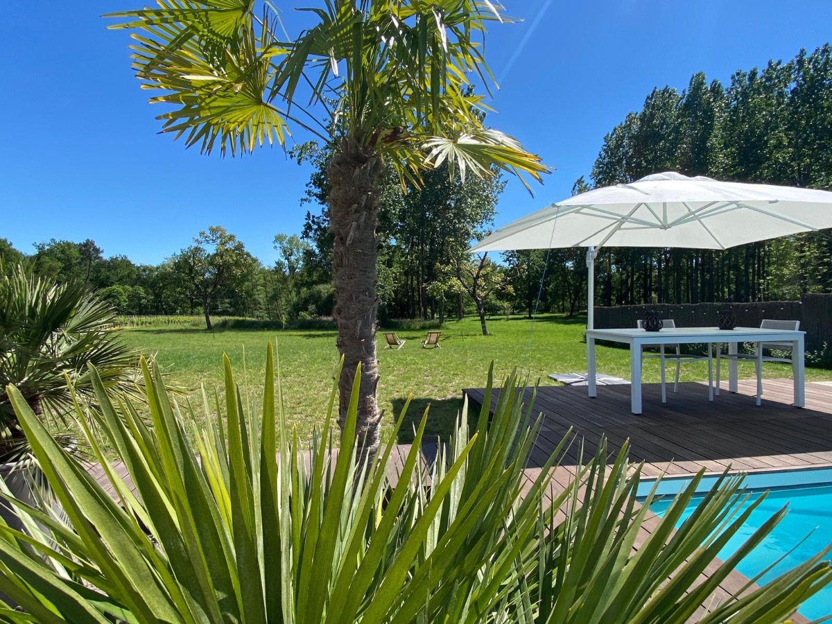 Vue du jardin de la terrasse sur vignes et bois