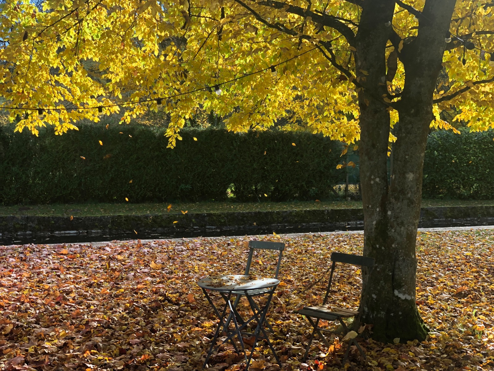 Le jardin en automne Le jardin en automne