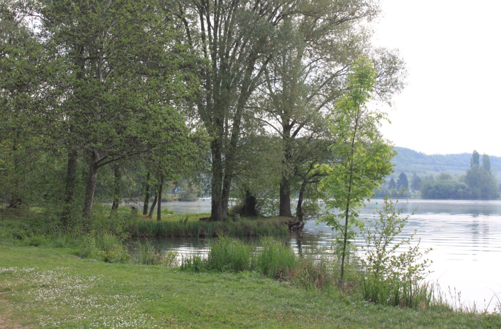 Lac d'Ecluzelles