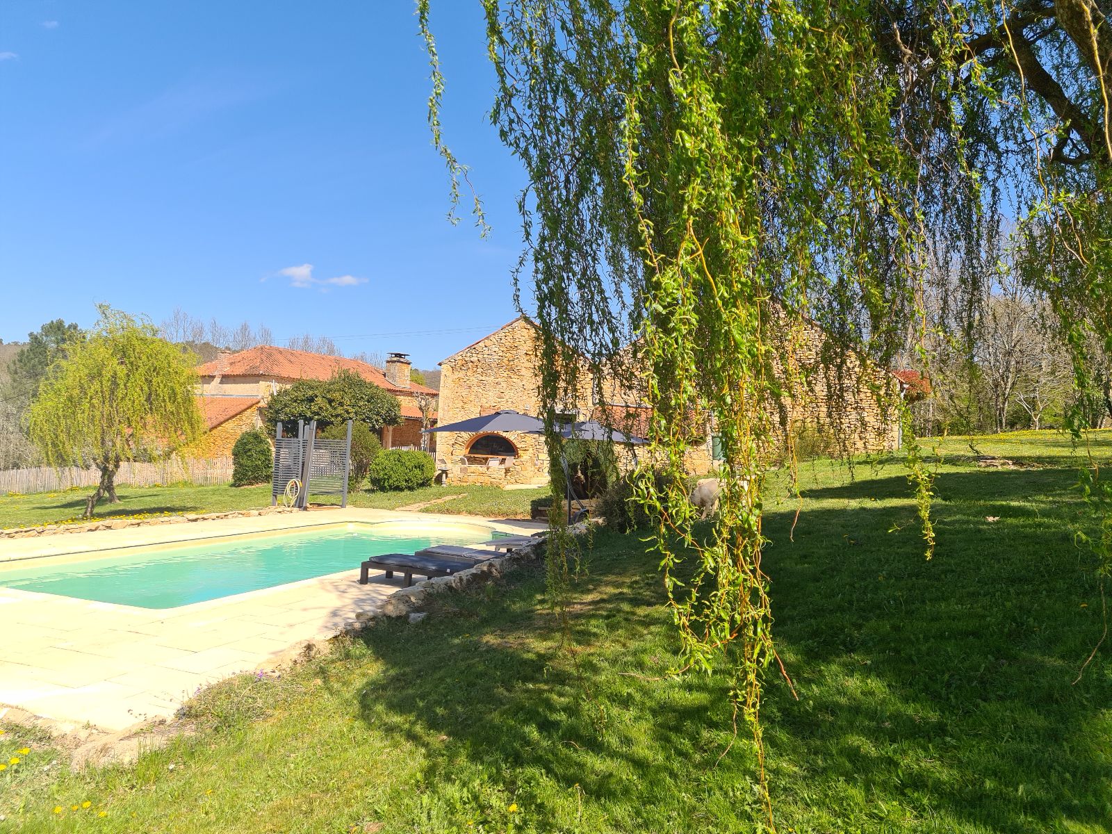 Garden and Pool