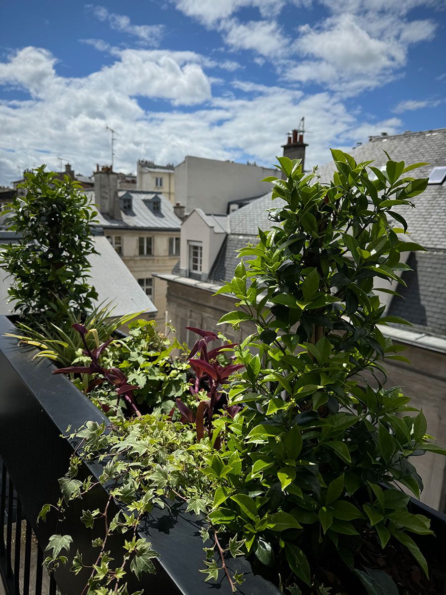 Terrasse vgtalise