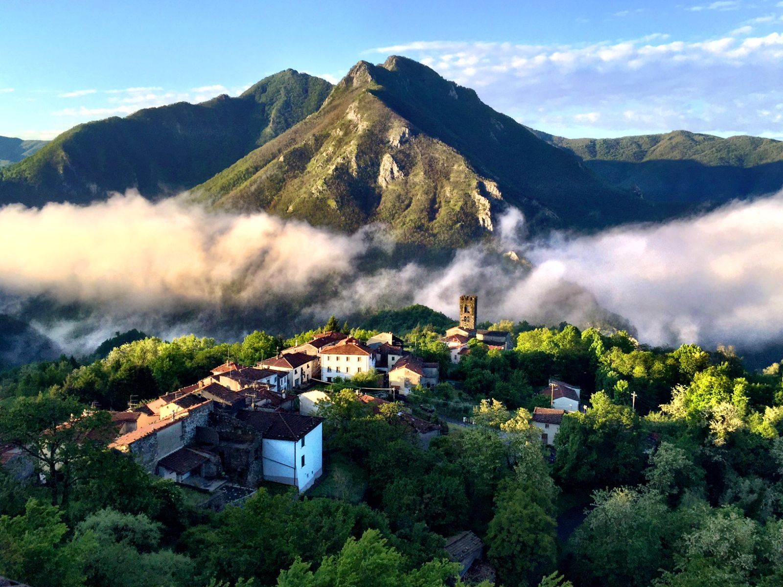 Morning mountain view