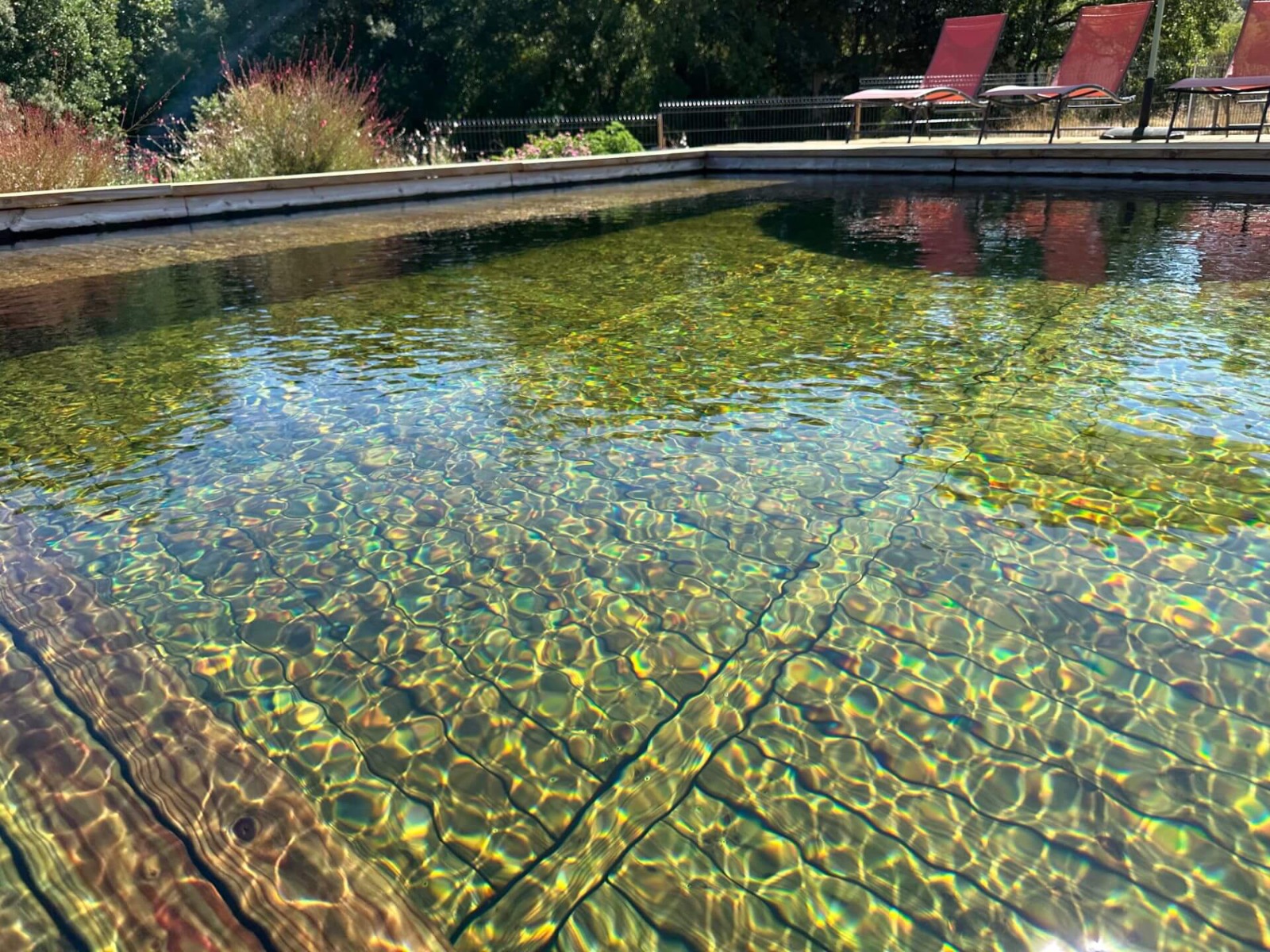 Bassin détente Bassin détente