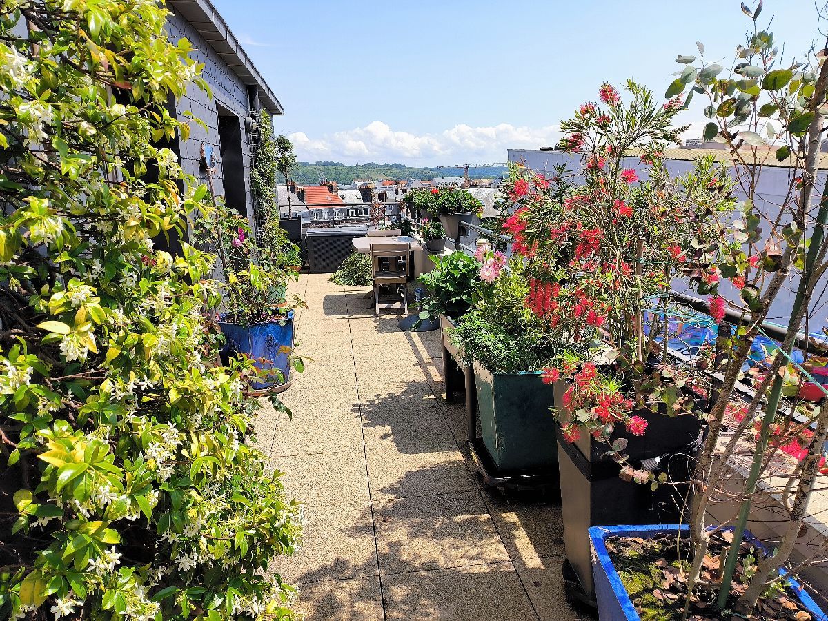 La plus grande des terrasses orientée au sud La plus grande des terrasses orientée au sud