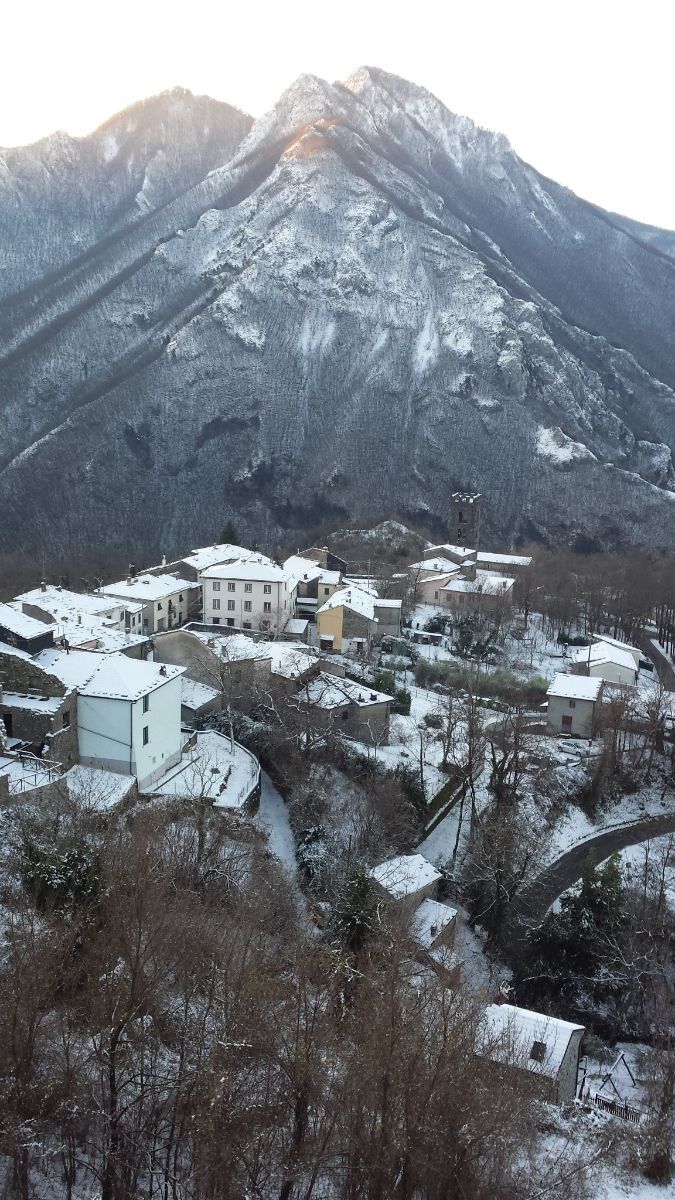 Village winter scene