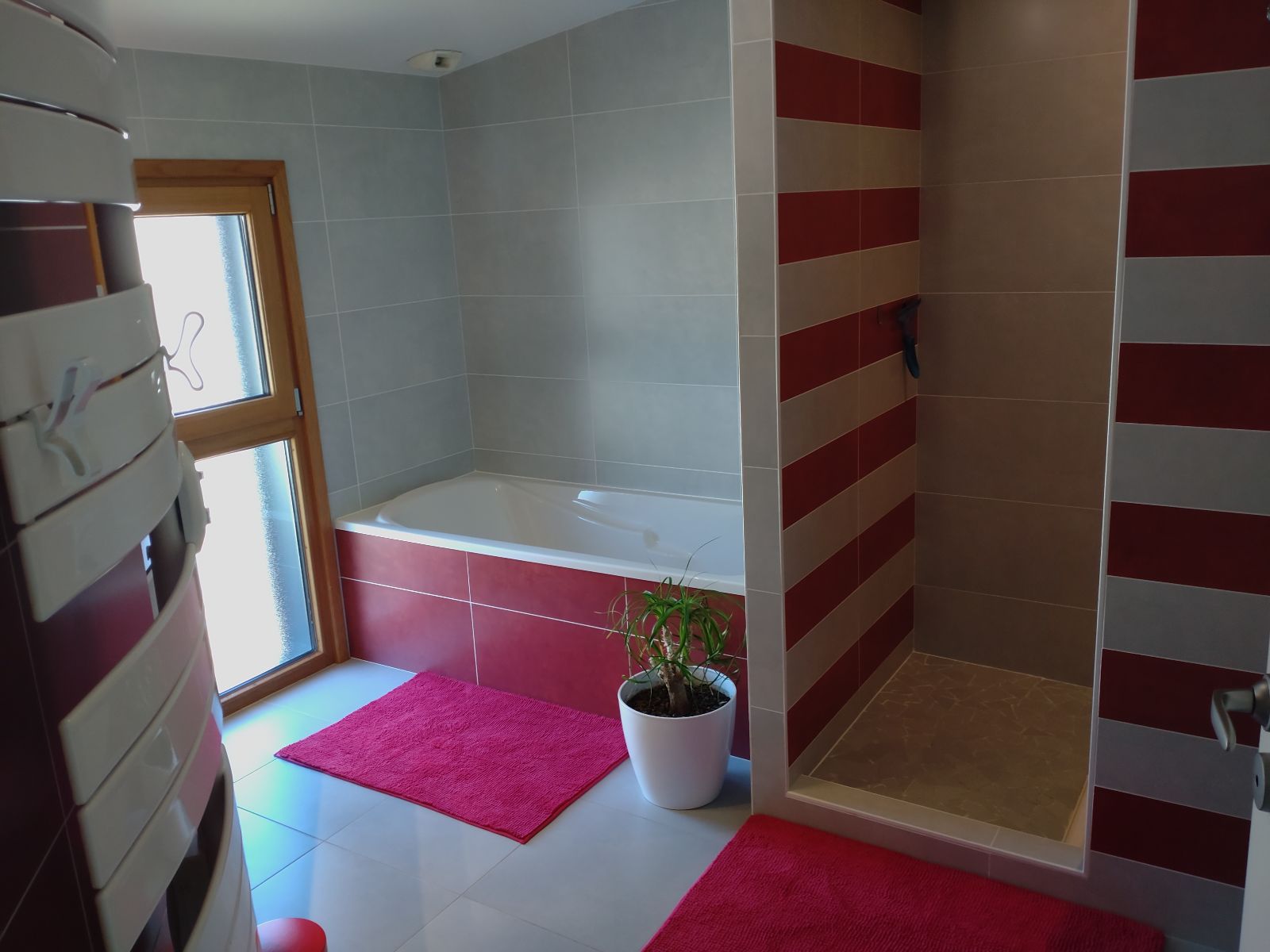 SDB Prive avec Douche et Baignoire 