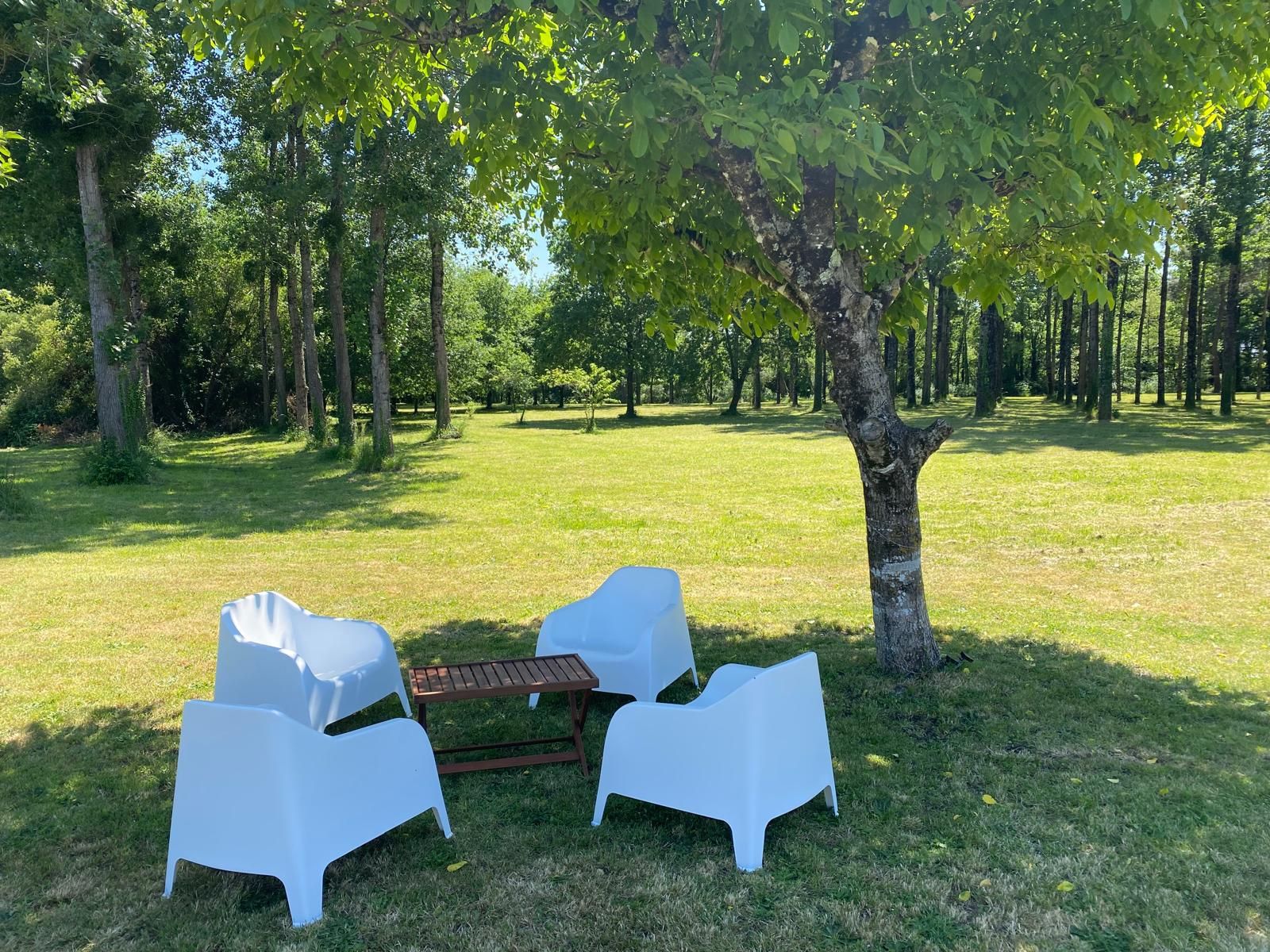 détente à l'ombre des arbres détente à l'ombre des arbres