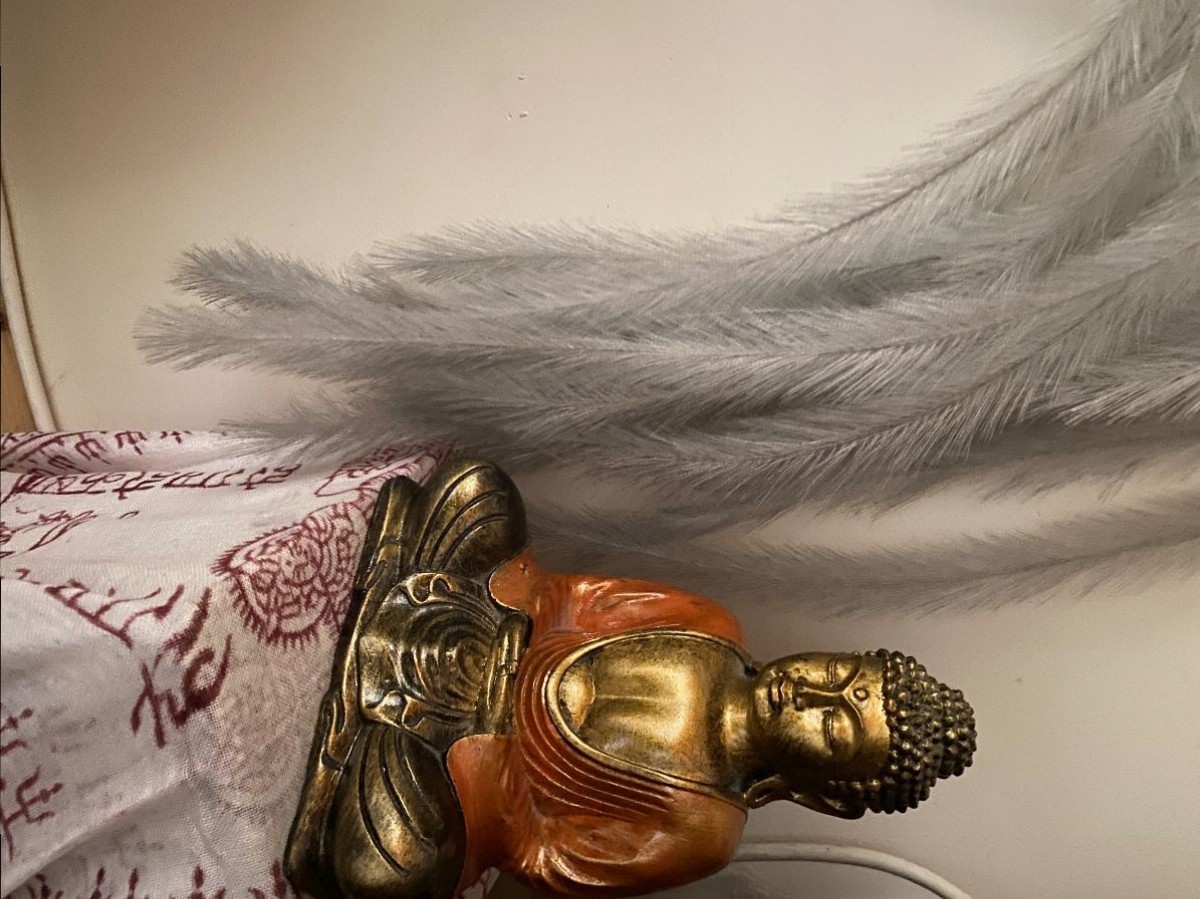 La plume ! La plume !