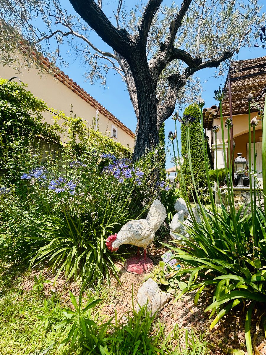 Jardin Paysager Jardin Paysager