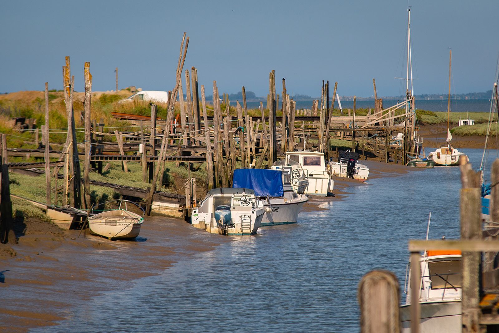 Envie de Fruits de Mer (Port à moins de 5km) Envie de Fruits de Mer (Port à moins de 5km)