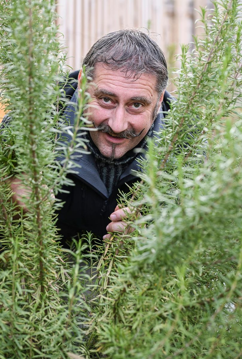 La Maison Fleur de Frangipanier La Maison Fleur de Frangipanier